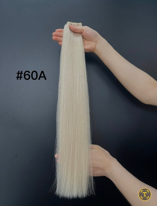 Arctic Pearl (60a)
